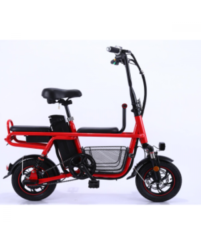 Electric Scooters